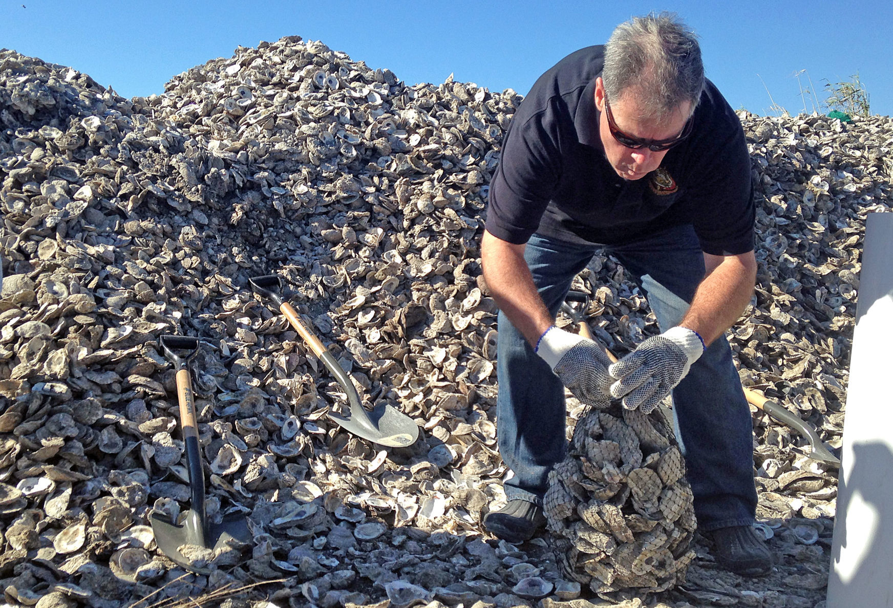Bagging shells